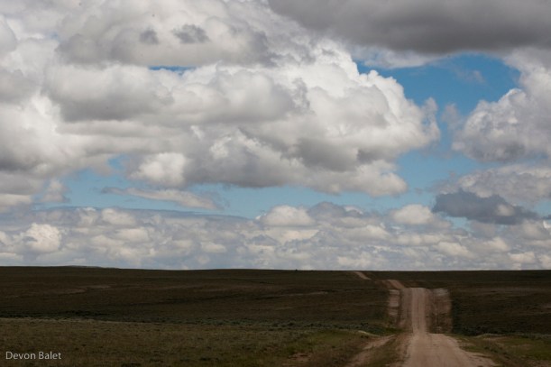 il Great Basin. un lungo tratto così. senza nulla! great basin